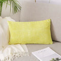 Axyaa Monochrome Corduroy Velvet Pillow Case, 40x60cm