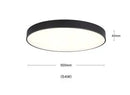 Axyaa Nordic Copper LED Ceiling Lights - Modern Minimalist Acrylic Ceiling Lamps
