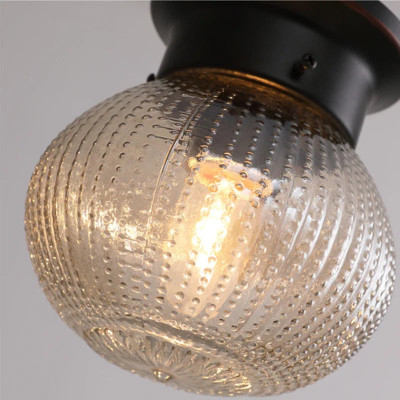 Axyaa Round Glass LED Ceiling Light Fixture for Kitchen Hallway Balcony Corridor