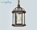 Axyaa Outdoor Pendant Light with Antique Aluminum Alloy and Clear Glass Shade