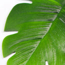 Axya Tropical Palm Leaves Coasters Set for Hawaii Theme Party Decor