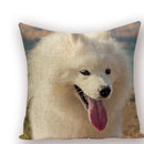 Axyaa Animal Dog Pillow Covers: Golden Retriever, Boston Terrier, Chihuahua Decor