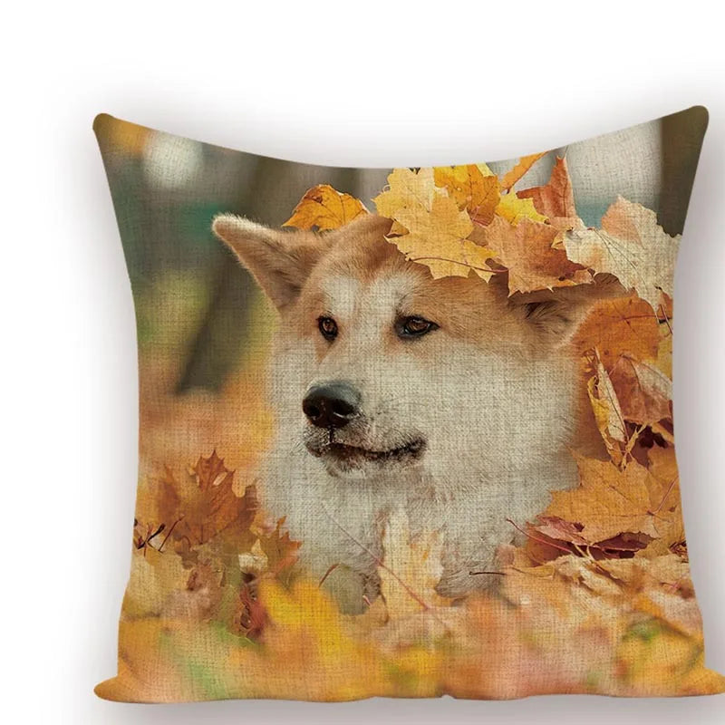 Axyaa Animal Dog Pillow Covers: Golden Retriever, Boston Terrier, Chihuahua Decor