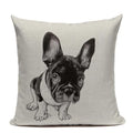 Axyaa Luxury Animal Pillow Case - 45x45cm Square Custom Cushion