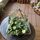 Axyaa Geometric Glass Vase Succulent Plants Terrarium Home Decoration