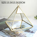 Axyaa Geometric Glass Vase Succulent Plants Terrarium Home Decoration
