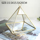 Axyaa Geometric Glass Vase Succulent Plants Terrarium Home Decoration