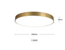 Axyaa Nordic Copper LED Ceiling Lights - Modern Minimalist Acrylic Ceiling Lamps