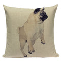 Axyaa Pug Animal Decor Cushion Cover Home Decorative Pillow 45x45cm