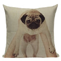 Axyaa Pug Animal Decor Cushion Cover Home Decorative Pillow 45x45cm