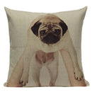 Axyaa Pug Animal Decor Cushion Cover Home Decorative Pillow 45x45cm