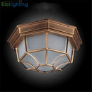 Axyaa Rustic Frosted Glass Outdoor Ceiling Light - Europe Style Flush IP Rated Fixture
