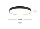Axyaa Nordic Copper LED Ceiling Lights - Modern Minimalist Acrylic Ceiling Lamps