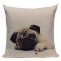 Axyaa Pug Animal Decor Cushion Cover Home Decorative Pillow 45x45cm