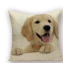 Axyaa Animal Dog Pillow Covers: Golden Retriever, Boston Terrier, Chihuahua Decor
