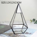 Axyaa Geometric Glass Vase Succulent Plants Terrarium Home Decoration