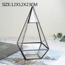 Axyaa Geometric Glass Vase Succulent Plants Terrarium Home Decoration