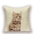 Axyaa Cartoon Cushion Cover 45x45cm - High Quality Pillowcase for Living Room
