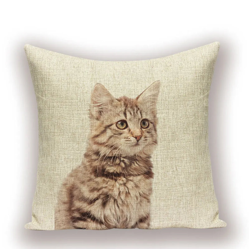 Axyaa Cartoon Cushion Cover 45x45cm - High Quality Pillowcase for Living Room