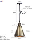 Axyaa Retro LED Pendant Light | Silver Vintage Industrial Hanging Lamp