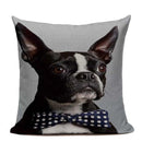 Axyaa Luxury Animal Pillow Case - 45x45cm Square Custom Cushion