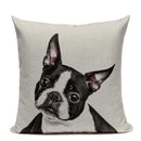 Axyaa Luxury Animal Pillow Case - 45x45cm Square Custom Cushion