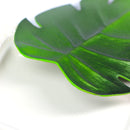 Axya Tropical Palm Leaves Coasters Set for Hawaii Theme Party Decor