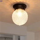 Axyaa Retro Glass LED Ceiling Light for Kitchen Hallway Balcony Porch