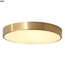 Axyaa Nordic Copper LED Ceiling Lights - Modern Minimalist Acrylic Ceiling Lamps