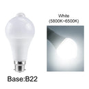 Axyaa Motion Sensor LED Night Light for Stairs and Corridors