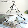 Axyaa Geometric Glass Vase Succulent Plants Terrarium Home Decoration