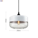 Axyaa Modern Nordic Glass Pendant Lamp for Dinning Room and Bar