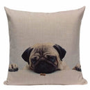 Axyaa Pug Animal Decor Cushion Cover Home Decorative Pillow 45x45cm