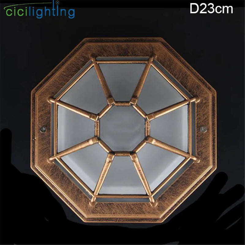 Axyaa Rustic Frosted Glass Outdoor Ceiling Light - Europe Style Flush IP Rated Fixture
