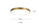 Axyaa Nordic Copper LED Ceiling Lights - Modern Minimalist Acrylic Ceiling Lamps