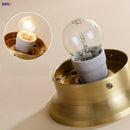 Axyaa Modern Copper LED Ceiling Light Fixture for Kitchen Hallway Balcony