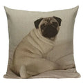Axyaa Pug Animal Decor Cushion Cover Home Decorative Pillow 45x45cm