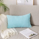 Axyaa Monochrome Corduroy Velvet Pillow Case, 40x60cm