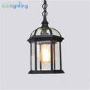 Axyaa Outdoor Pendant Light with Antique Aluminum Alloy and Clear Glass Shade