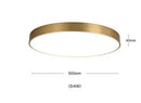 Axyaa Nordic Copper LED Ceiling Lights - Modern Minimalist Acrylic Ceiling Lamps