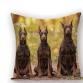 Axyaa Animal Dog Pillow Covers: Golden Retriever, Boston Terrier, Chihuahua Decor