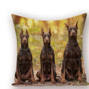 Axyaa Animal Dog Pillow Covers: Golden Retriever, Boston Terrier, Chihuahua Decor