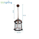 Axyaa Outdoor Pendant Light with Antique Aluminum Alloy and Clear Glass Shade