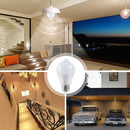 Axyaa Motion Sensor LED Night Light for Stairs and Corridors