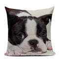 Axyaa Luxury Animal Pillow Case - 45x45cm Square Custom Cushion