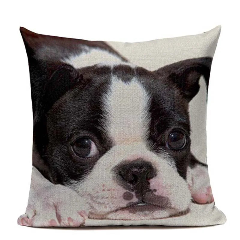 Axyaa Luxury Animal Pillow Case - 45x45cm Square Custom Cushion