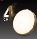 Axyaa Nordic Copper LED Ceiling Lights - Modern Minimalist Acrylic Ceiling Lamps