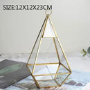 Axyaa Geometric Glass Vase Succulent Plants Terrarium Home Decoration