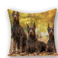 Axyaa Animal Dog Pillow Covers: Golden Retriever, Boston Terrier, Chihuahua Decor