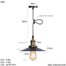 Axyaa Retro LED Pendant Light | Silver Vintage Industrial Hanging Lamp